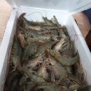 천지검도관 이미지