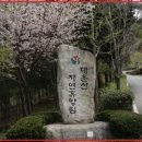 대운산펜션 | 울산의 숨겨진 보석, 대운산군립야영장 솔직 후기 및 최신 예약 정보
