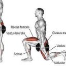 허리나 연구소 이미지