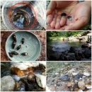 하늘숲황토펜션 이미지