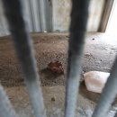 고령목장 이미지