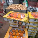 홈마트 | 청라 홈마트 홈식자재마트 리뉴얼 오픈 방문 후기