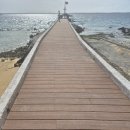 대일주택관리 이미지