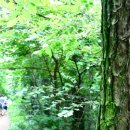 야사마을 이미지