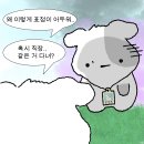다르고 | [공지] 웨딩플래너업체 3사 비교_ 다이렉트 제이웨딩 요즘웨딩 상담 후기 (추천인 6만원페이백)