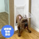 펫도어
