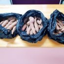늘푸른세상(주) 이미지