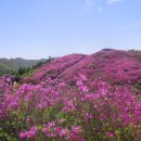 경공산악회 5월원정 정기산행공지 이미지