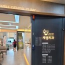새샘치과의원 이미지