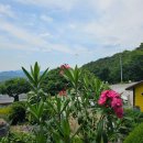 구름위의산책 이미지