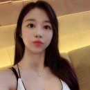 엘린 코리아데일리