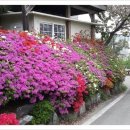 신규동물병원 이미지