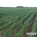 임자농업협동조합 이미지