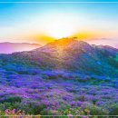 합천 이미지