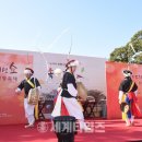 노거수 은행나무 축제의 속삭임 세계타임즈