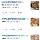스파리움 현대백화점 목동점