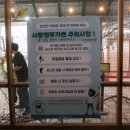 포천 마이애니멀스토리 후기 | 평강랜드 동물 먹이주기 코스 총정리 (+ 포천 가볼만한곳)