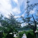 성모신협 | 아산여행 산책코스로 좋은 아산 가볼만한 곳 : 공세리 성당