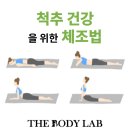 바디랩필라테스 네이버블로그