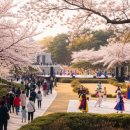 [찾아가는 문화공연] 4·19혁명 국민문화제 <함께 봄> | 4·19혁명국민문화제 2026 | 강북구 무료 행사 일정과 프로그램 총정리