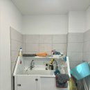 몽크네 이발관 | 포항 애견미용 몽크네 이발관 후기