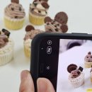 펫푸드스쿨 이미지