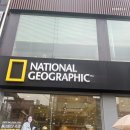 내셔널지오그래픽 진주점 이미지