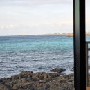 바다사랑 펜션 | 협재 10만원대 감성숙소 내돈내산 독채펜션 | 루디아 바다 펜션 2동 후기