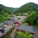 의성 천년사찰 고운사 전소 보물 제246호 석조여래좌상 전소직전 이송