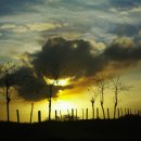 노을풍경 이미지