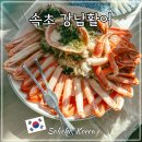강남-033 | 속초 대포항 대게 맛집 가격 강남활어 애견동반 가능 수산시장 회센터
