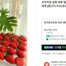 정병화 농장 네이버블로그