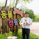 댕댕아 놀자 이미지