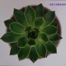 프린스성형외과의원 | [강남 강남구 성형외과} 프린스성형외과의원 프린스성형외과, 1:1 밀착 케어로 신뢰 쌓기