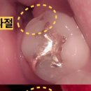 보스톤미소치과의원 이미지