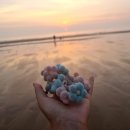 덕구복구