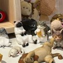 강동뽑기방 이미지