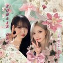 꽃뜨루 Daum카페