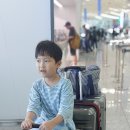 24년7월31일베트남다낭공항 이미지