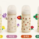 호랑디자인 이미지