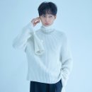 진영