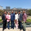 코스모스악기 이미지