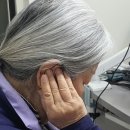 시그니아독일보청기도봉센터 이미지