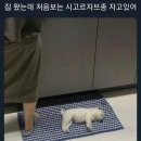 또봉이통닭 용화점 이미지
