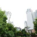 판교금호공인중개사사무소 이미지