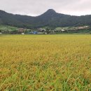 순흥농장 이미지