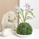 꽃피는지역아동센터 | 부산 주민센터 문화강좌 - '꽃이 피는 이끼숲' 센터피스 꽃꽂이 수업 후기