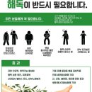 디톡하우스 이미지