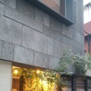 그린라빈 이미지