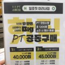 애견미용실 일호 | 신중동 헬스장 PT샵 일호핏 방문 후기💙💙💙